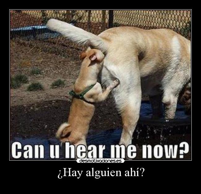 ¿Hay alguien ahí? - 