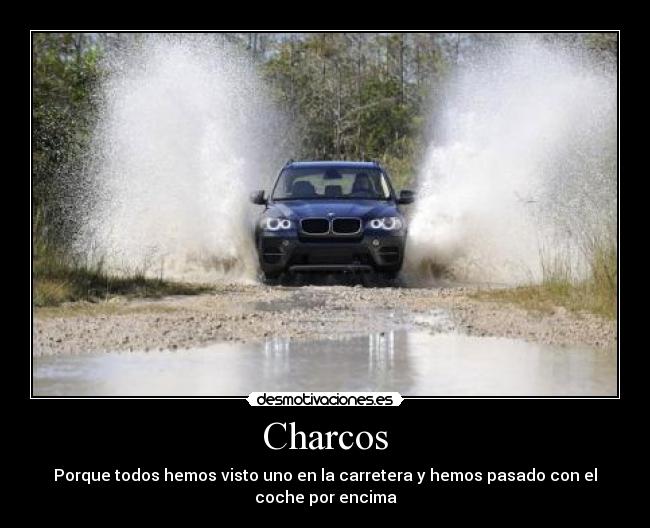 Charcos - Porque todos hemos visto uno en la carretera y hemos pasado con el
coche por encima