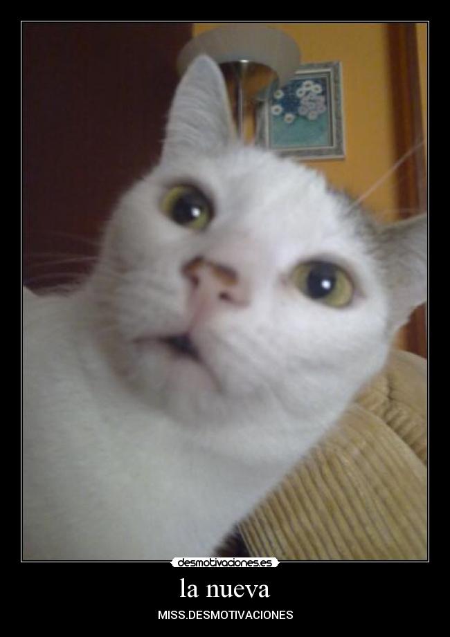 la nueva - MISS.DESMOTIVACIONES