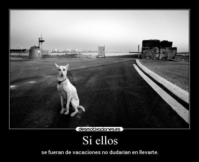 carteles isa^^ desmotivaciones