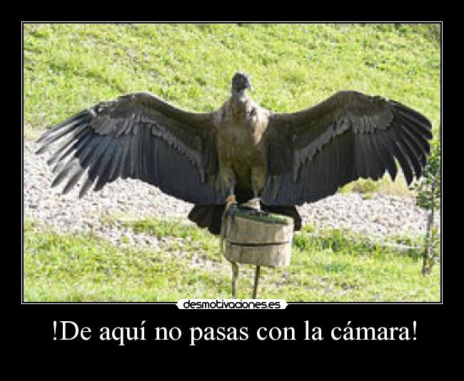 !De aquí no pasas con la cámara! -