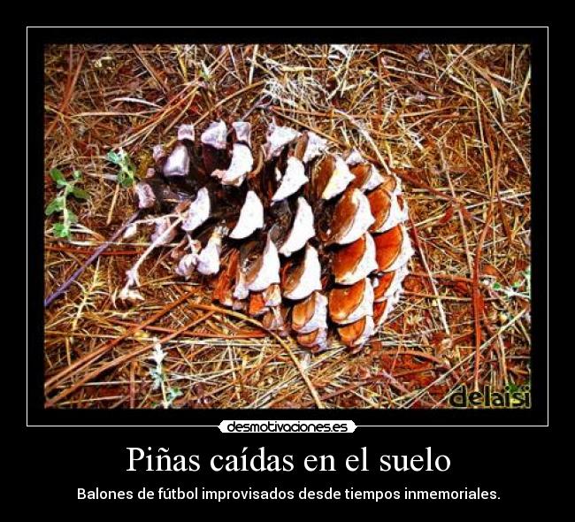 carteles pinas caidas suelo balones futbol improvisados desde tiempos inmemoriales deportes ninos desmotivaciones