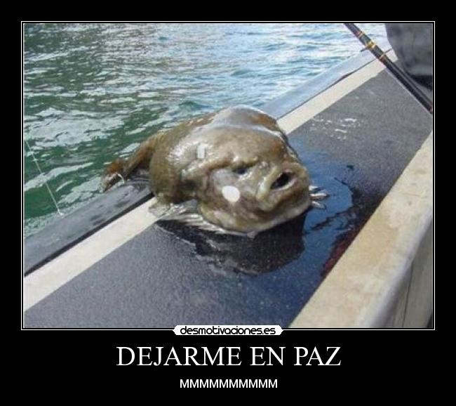 DEJARME EN PAZ - MMMMMMMMMM