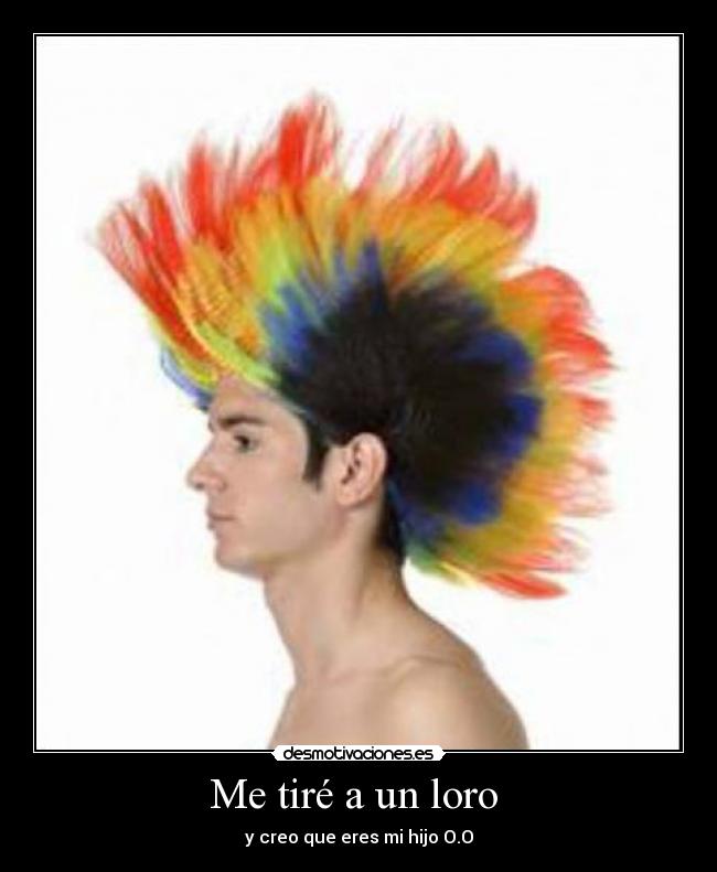Me tiré a un loro -
