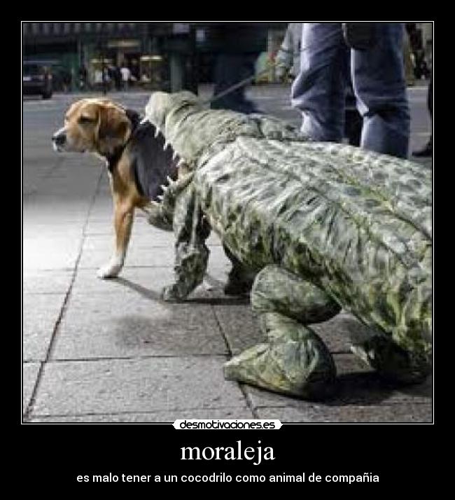 moraleja - 