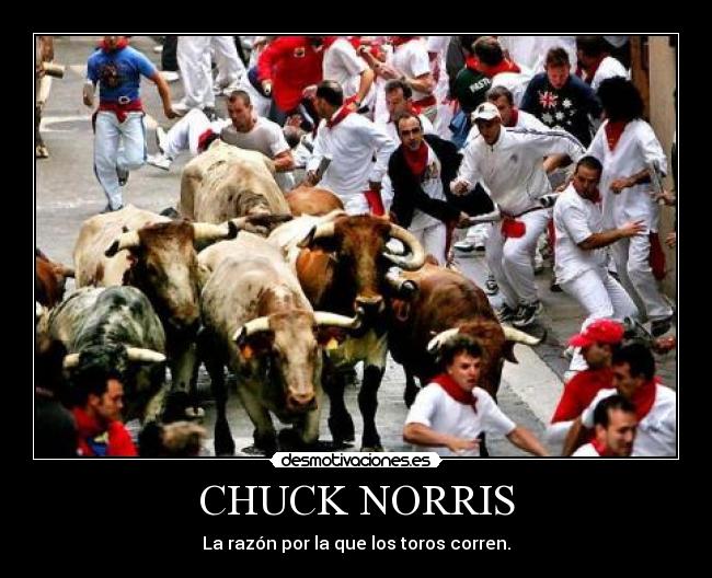 CHUCK NORRIS - La razón por la que los toros corren.