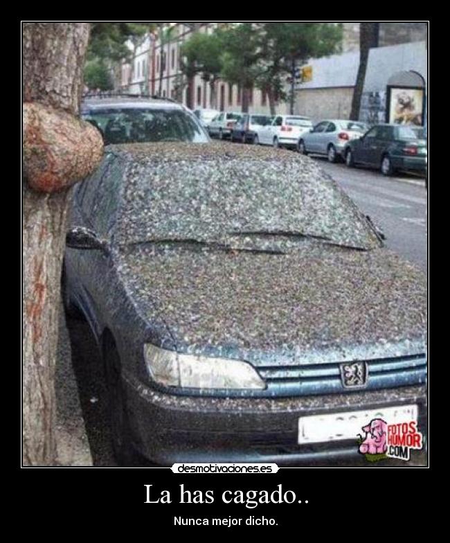 La has cagado.. - 
