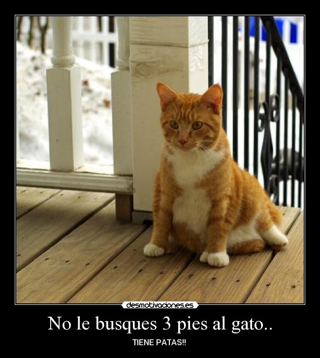 No le busques 3 pies al gato.. -