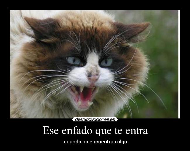 Ese enfado que te entra - cuando no encuentras algo
