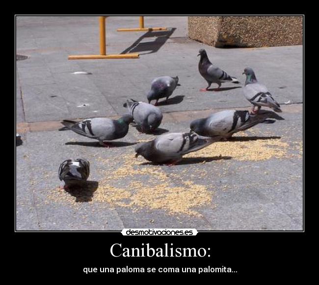 Canibalismo: -