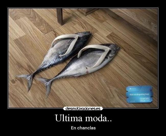 carteles ultima moda desmotivaciones