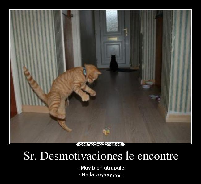 Sr. Desmotivaciones le encontre - - Muy bien atrapale
- Halla voyyyyyy¡¡¡¡