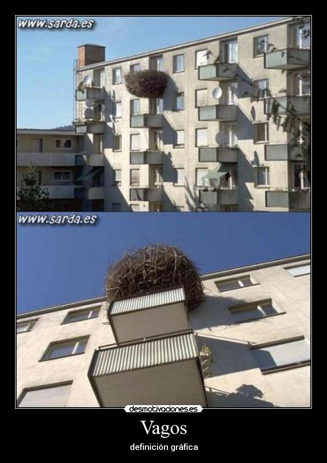 Vagos - definición gráfica