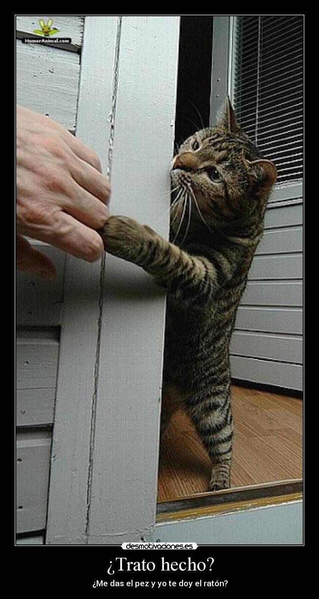 carteles desmotivacion desmotivaciones