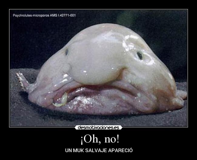 ¡Oh, no! - UN MUK SALVAJE APARECIÓ