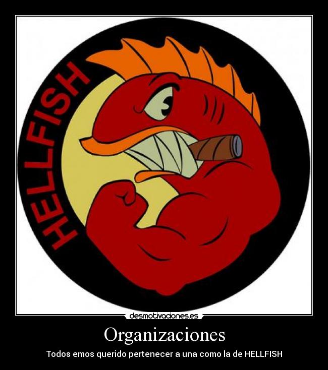 Organizaciones -
