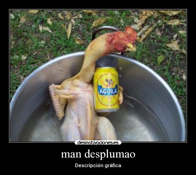 man desplumao - Descripción gráfica