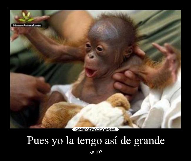 Pues yo la tengo así de grande - 