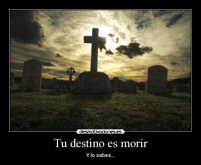 Tu destino es morir - 