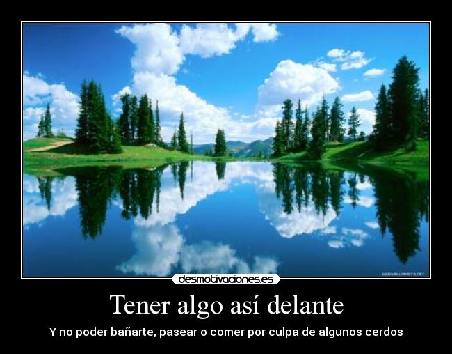 Tener algo así delante - Y no poder bañarte, pasear o comer por culpa de algunos cerdos