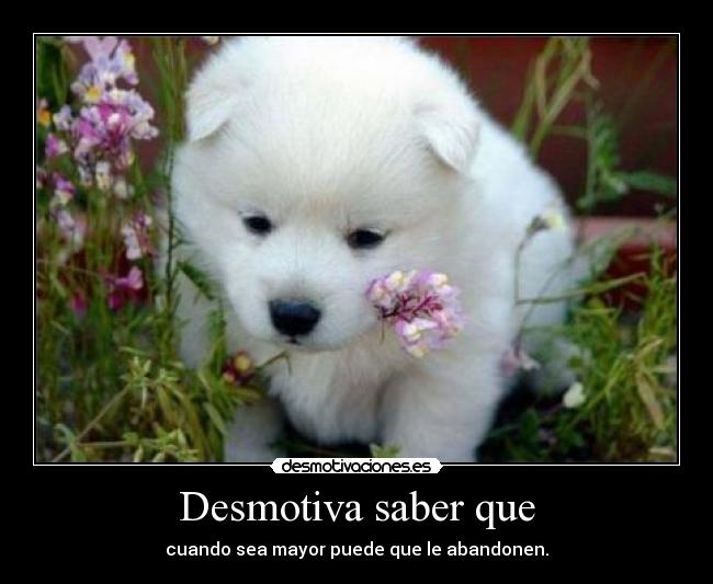 Desmotiva saber que - cuando sea mayor puede que le abandonen.