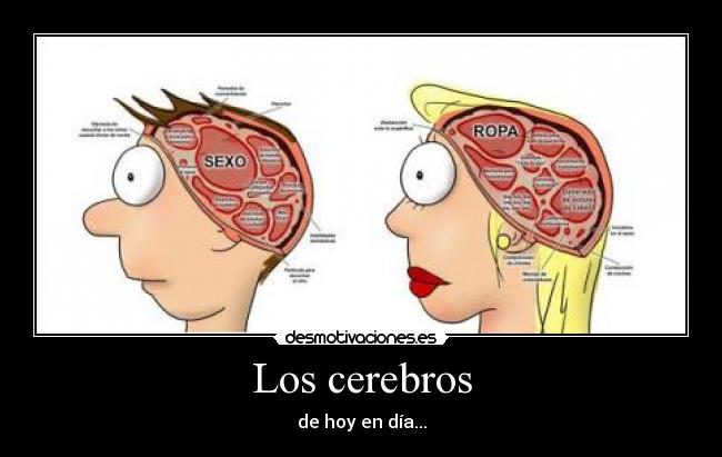 Los cerebros -