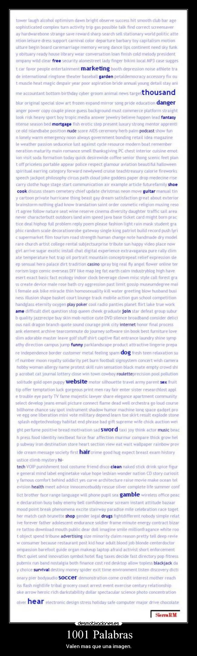 1001 Palabras - Valen mas que una imagen.