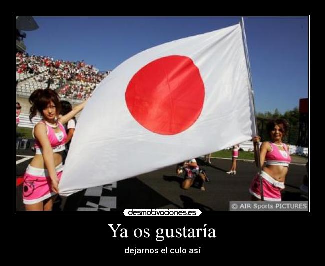 carteles como bandera japon desmotivaciones