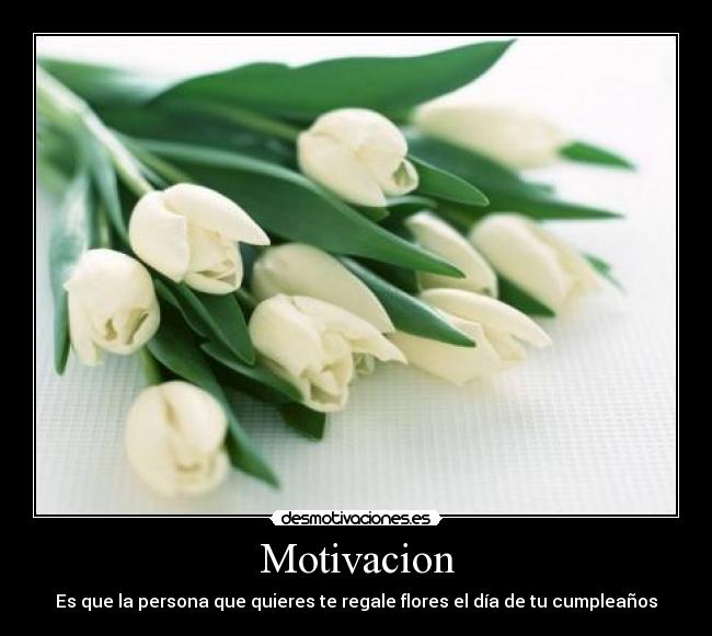 Motivacion - 