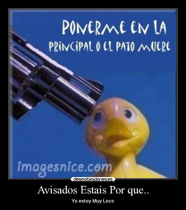 Avisados Estais Por que.. - Yo estoy Muy Loco