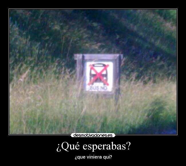 ¿Qué esperabas? - ¿que viniera qui?