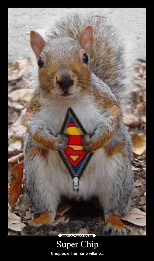 Super Chip - Chop es el hermano villano...