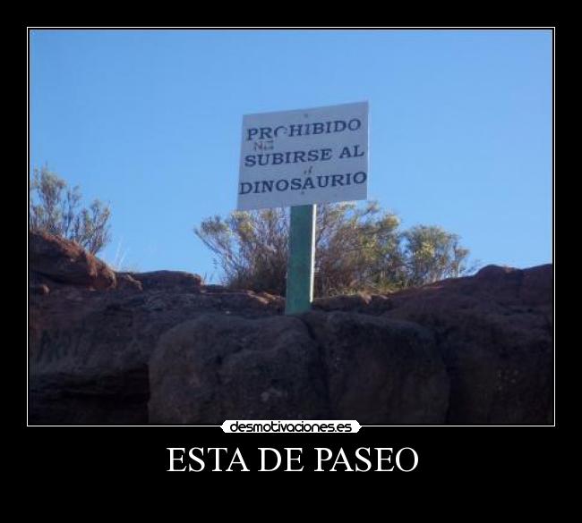 ESTA DE PASEO - 