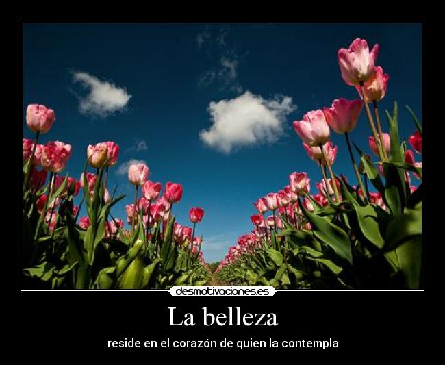 La belleza - reside en el corazón de quien la contempla