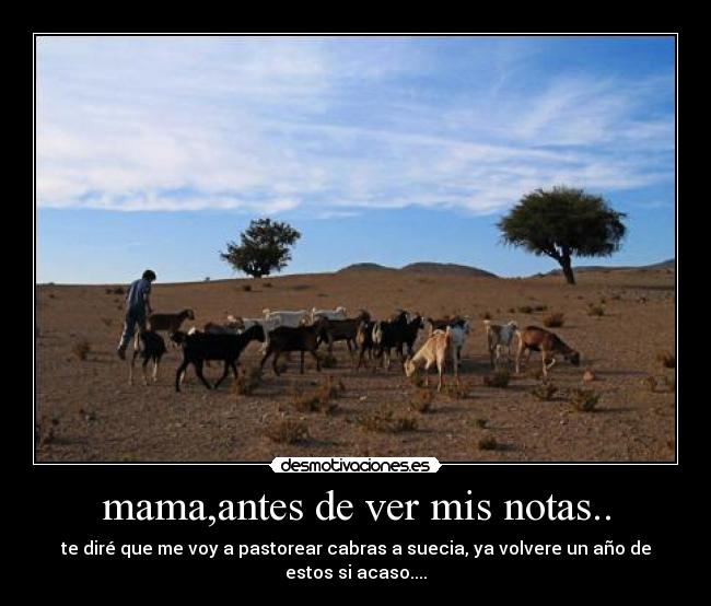 mama,antes de ver mis notas.. - te diré que me voy a pastorear cabras a suecia, ya volvere un año de estos si acaso....