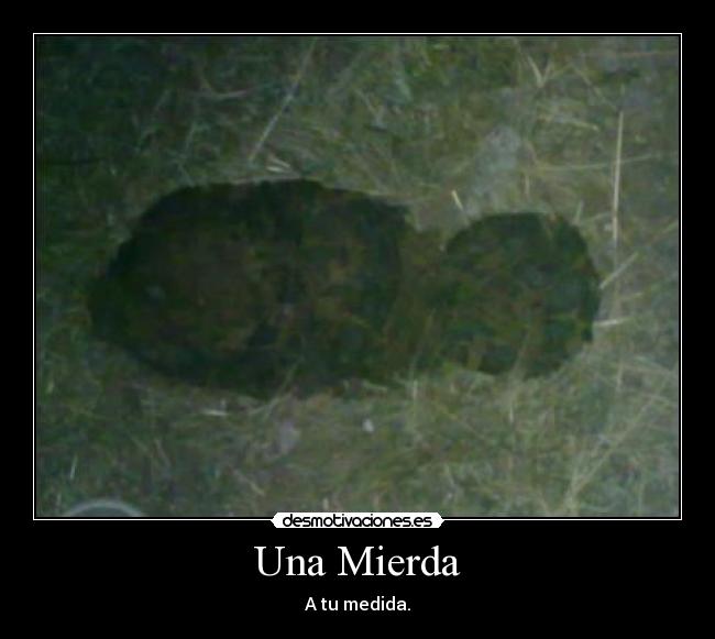 Una Mierda - 