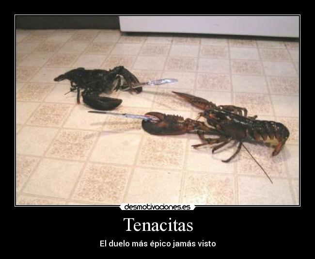 Tenacitas -