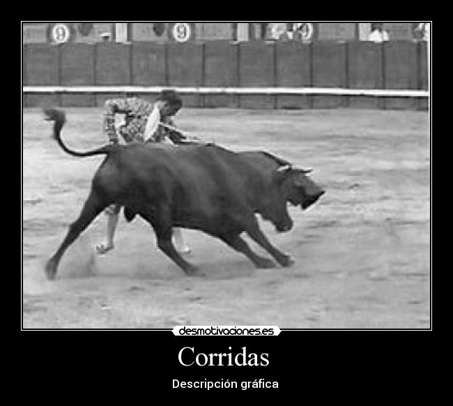 Corridas  - 
