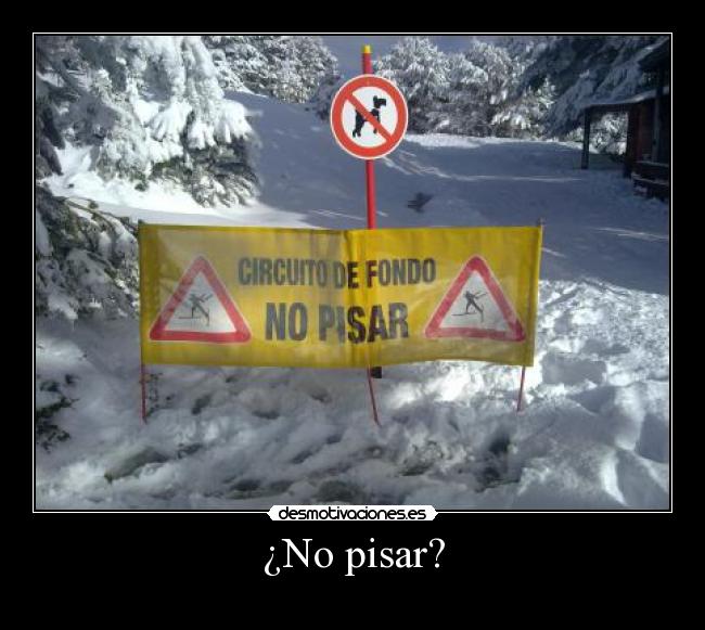 ¿No pisar? - 