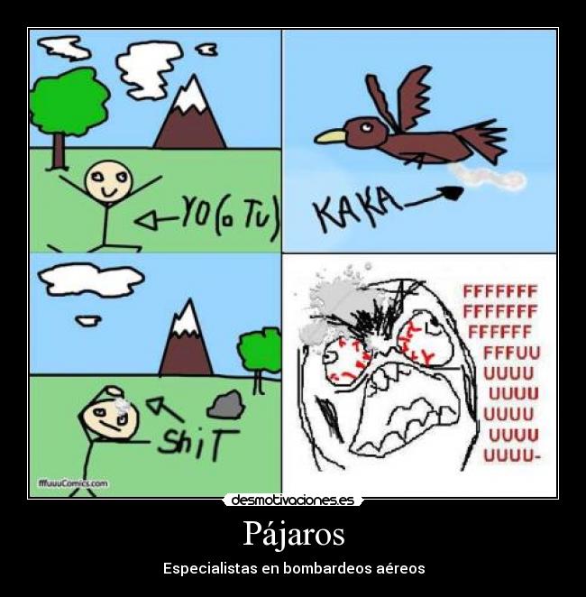 Pájaros - Especialistas en bombardeos aéreos
