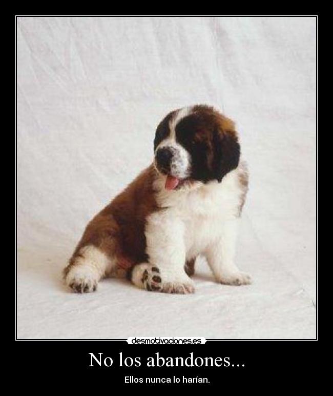 No los abandones... - Ellos nunca lo harían.