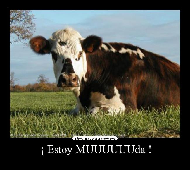¡ Estoy MUUUUUUda ! - 