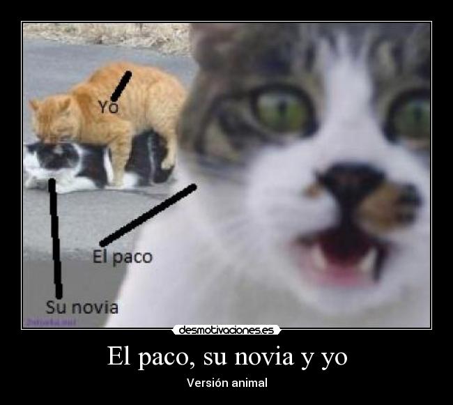 El paco, su novia y yo -