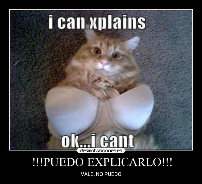 carteles gato desmotivaciones