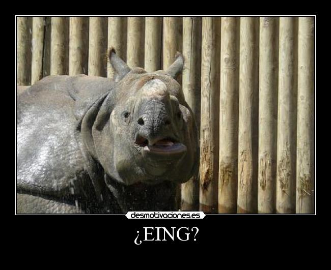 ¿EING? -