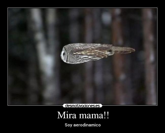 carteles mira mama desmotivaciones