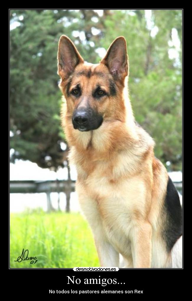 No amigos... - 