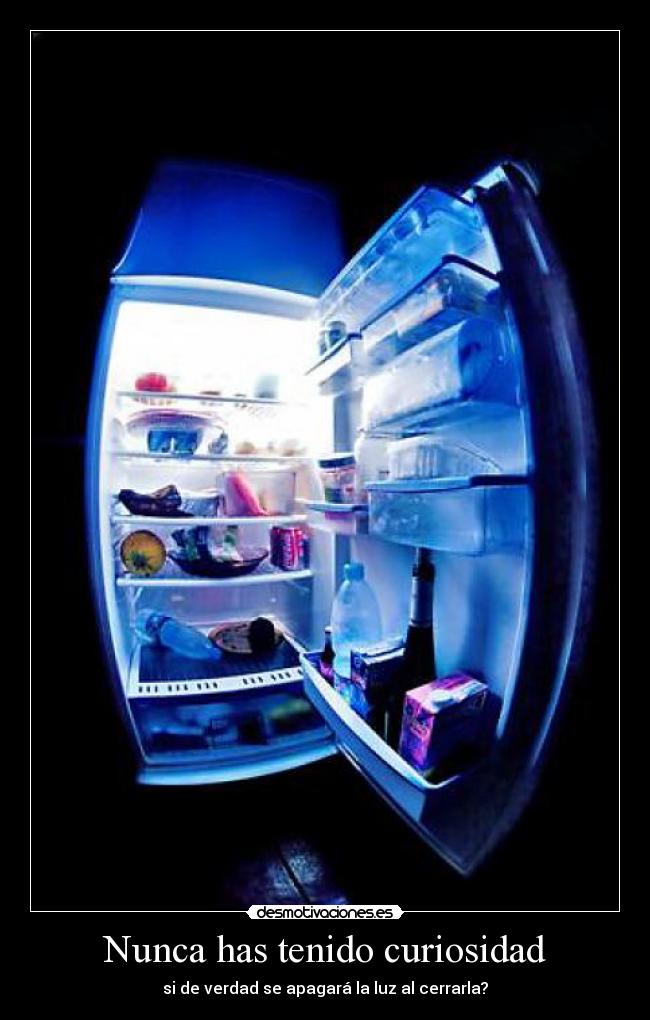 Nunca has tenido curiosidad - si de verdad se apagará la luz al cerrarla?