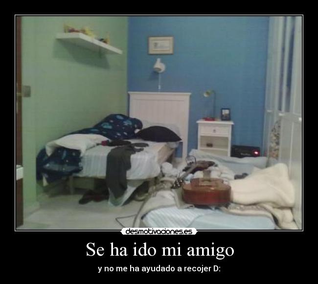 Se ha ido mi amigo - 