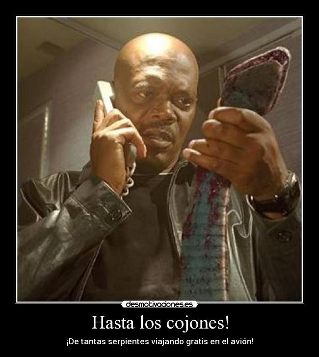 Hasta los cojones! -